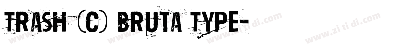 Trash (c) Bruta Type字体转换